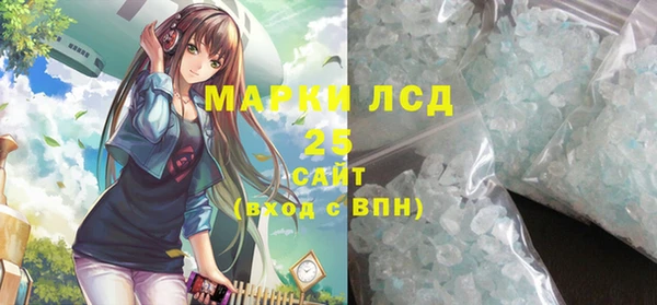 apvp Гатчина