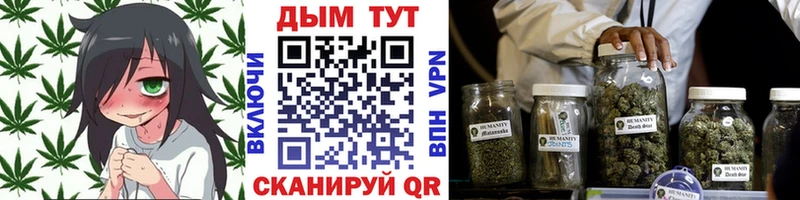 Каннабис White Widow  Суровикино 